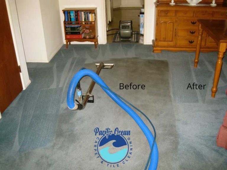 Before and after living room carpet cleaning