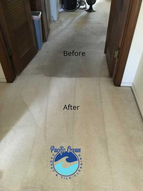 Before and after hallway carpet cleaning